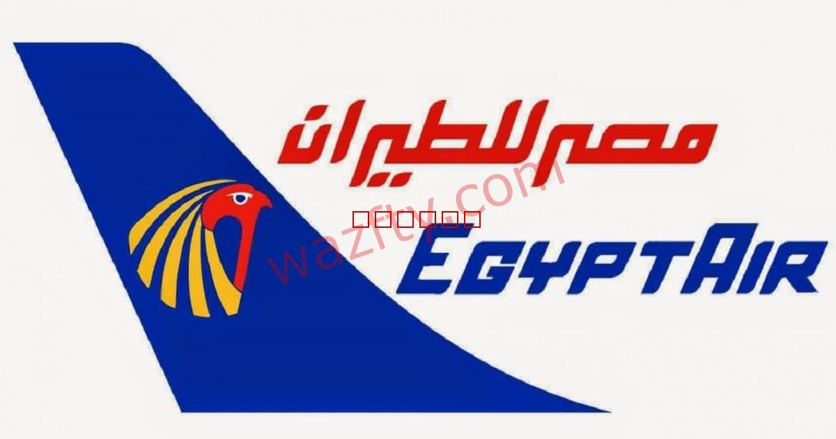 شركة مصر للطيران توفر وظائف خالية للجنسين في مصر